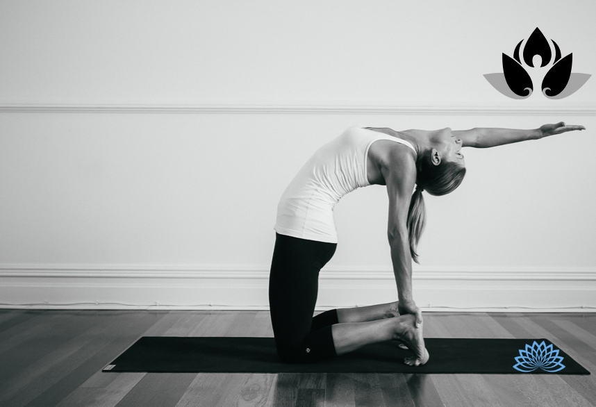 Elixir Wellness - Kinesiology Yoga Pilates in WA